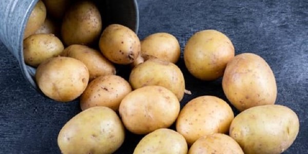 تصویر 3 از خرید و قیمت سیب زمینی ارگانیک + فروش صادراتی